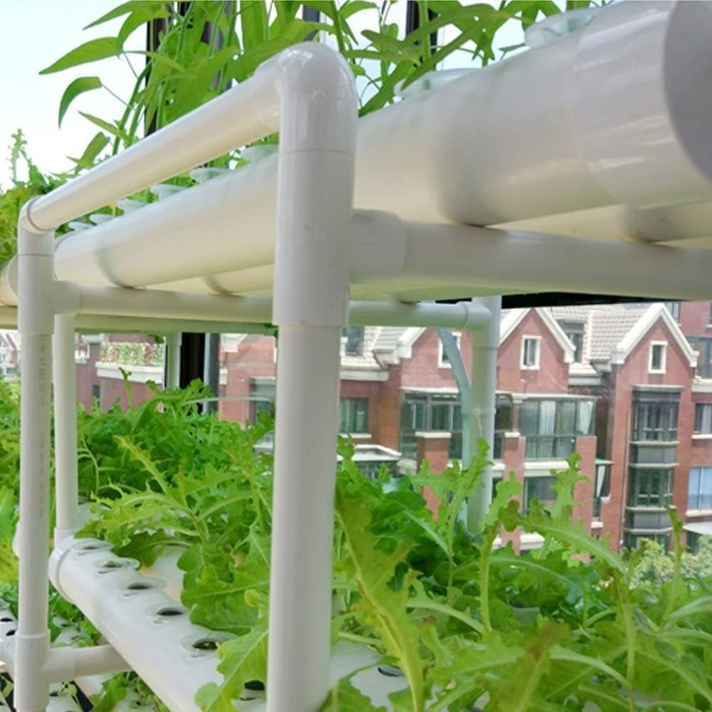 Leafy greens growing in a home hydroponic system